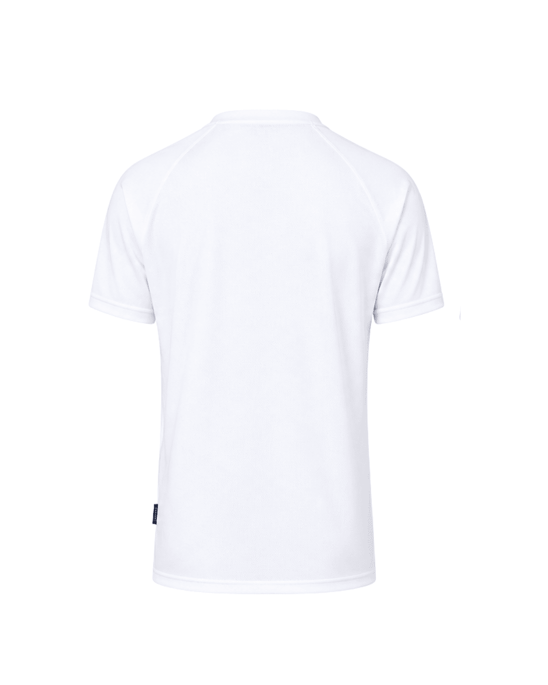 White with Black Zebra-