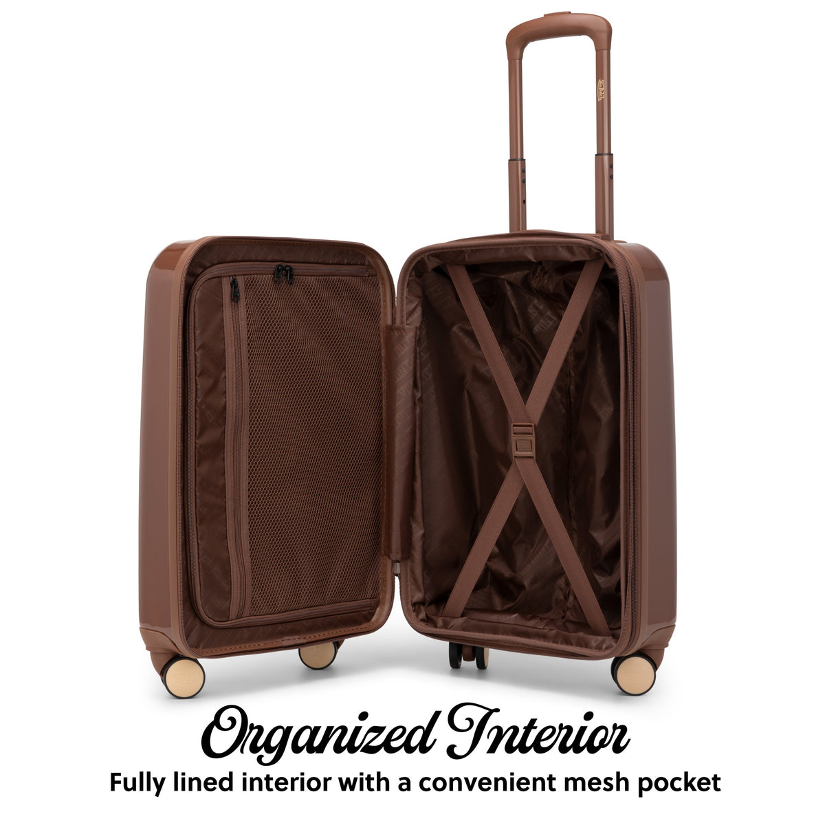 Brown Eyeflight-