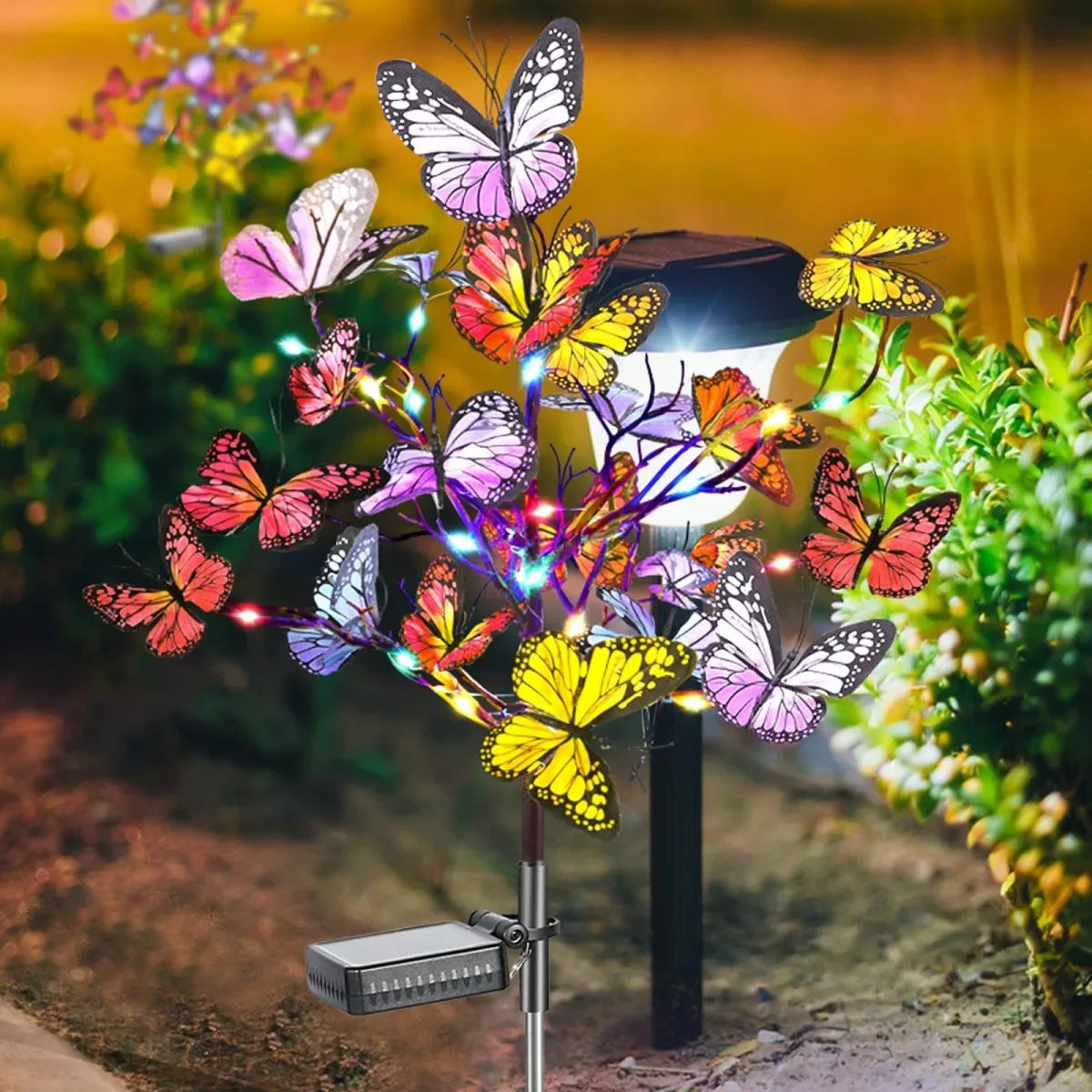 Colorful Light-