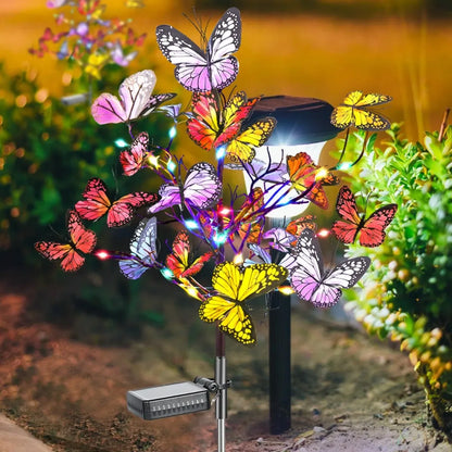 Colorful Light-