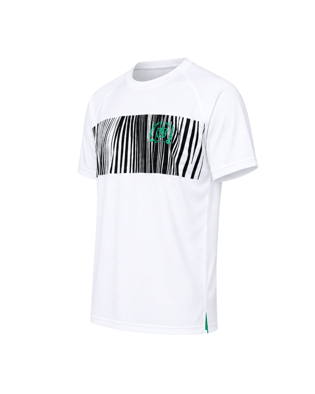 White with Black Zebra-