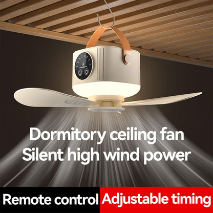 Beige-