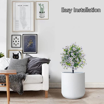 White-
