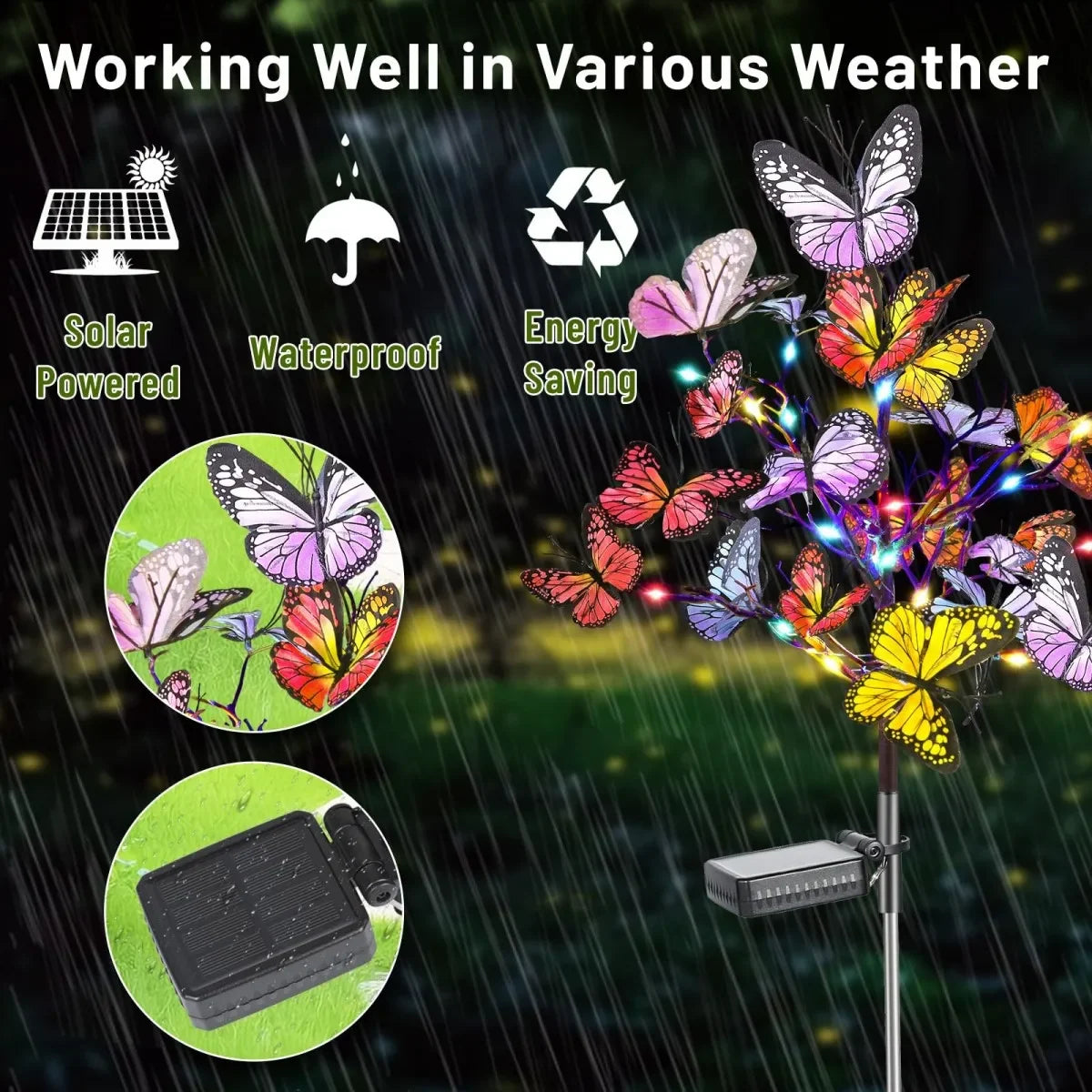 Warm Light-