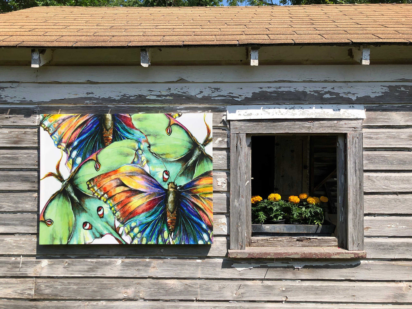 Pastel Butterfly #2 All Weather Outdoor Art