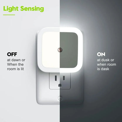 Warm Light-