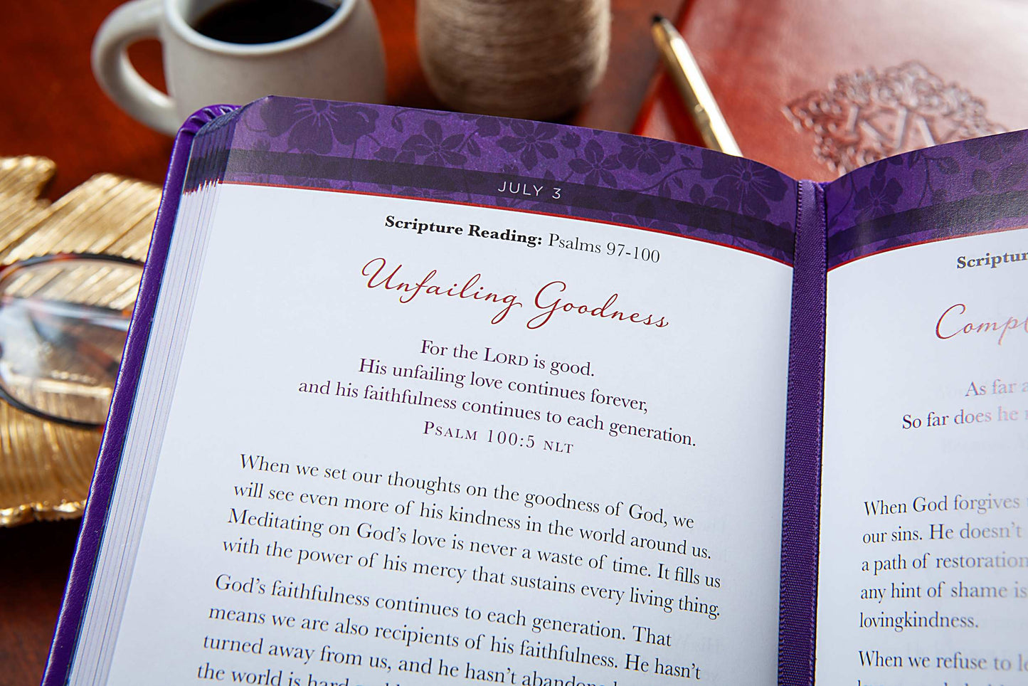 The Bible Reading Plan Devotional for Women