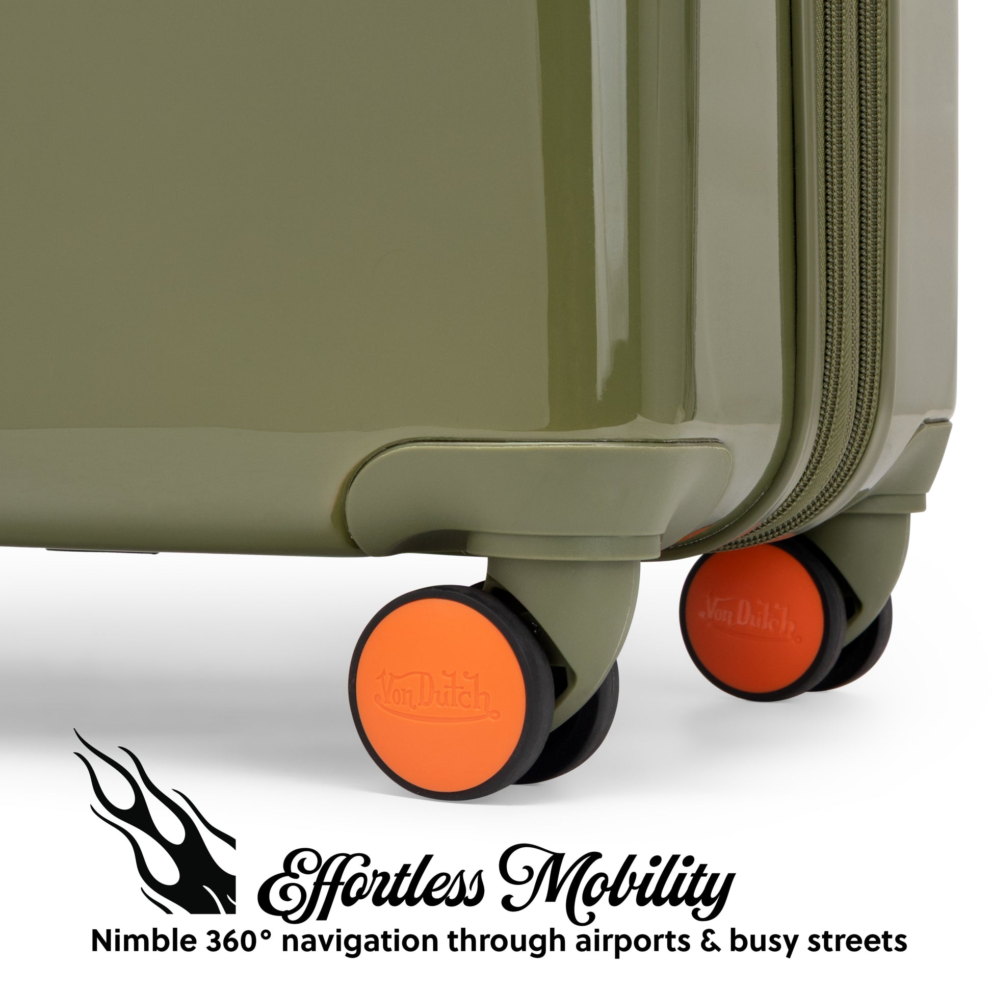 Olive Eyeflight-