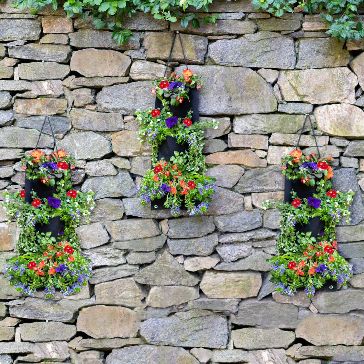 Hummingbird Flower Seed Hanging Planter Bag with Soil Block