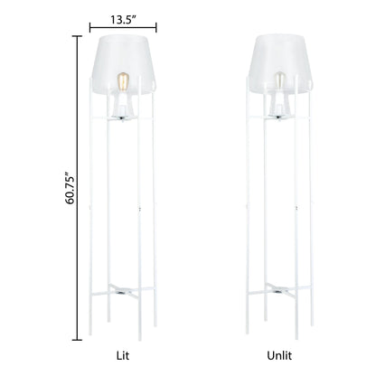 Clear/ White-