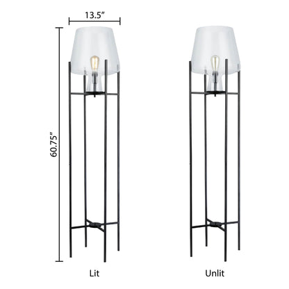 Clear/ Black-