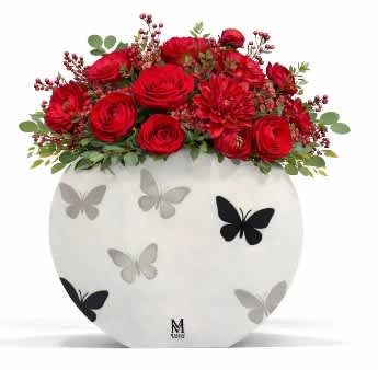 Papillon Esprit-