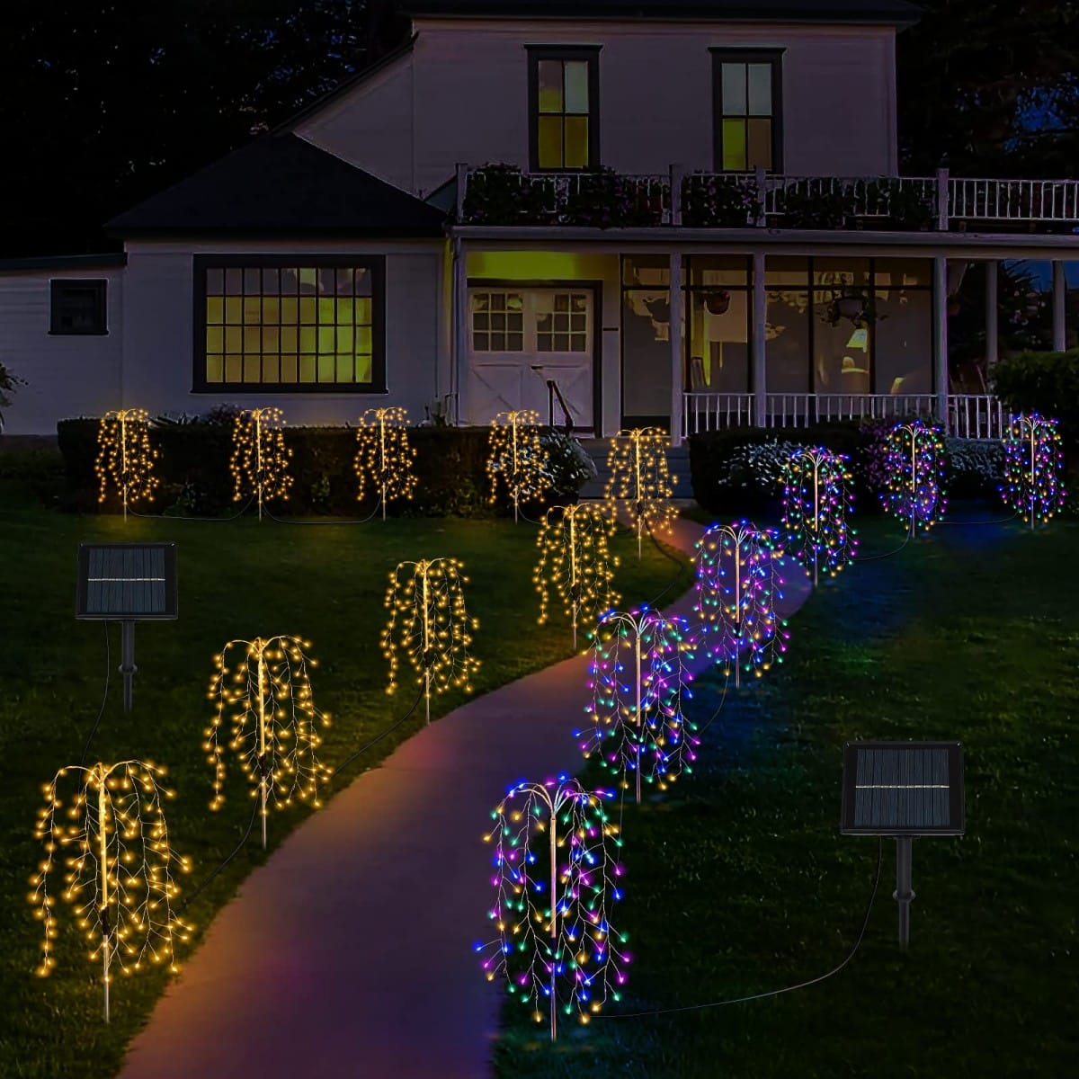 Multicolor Light-
