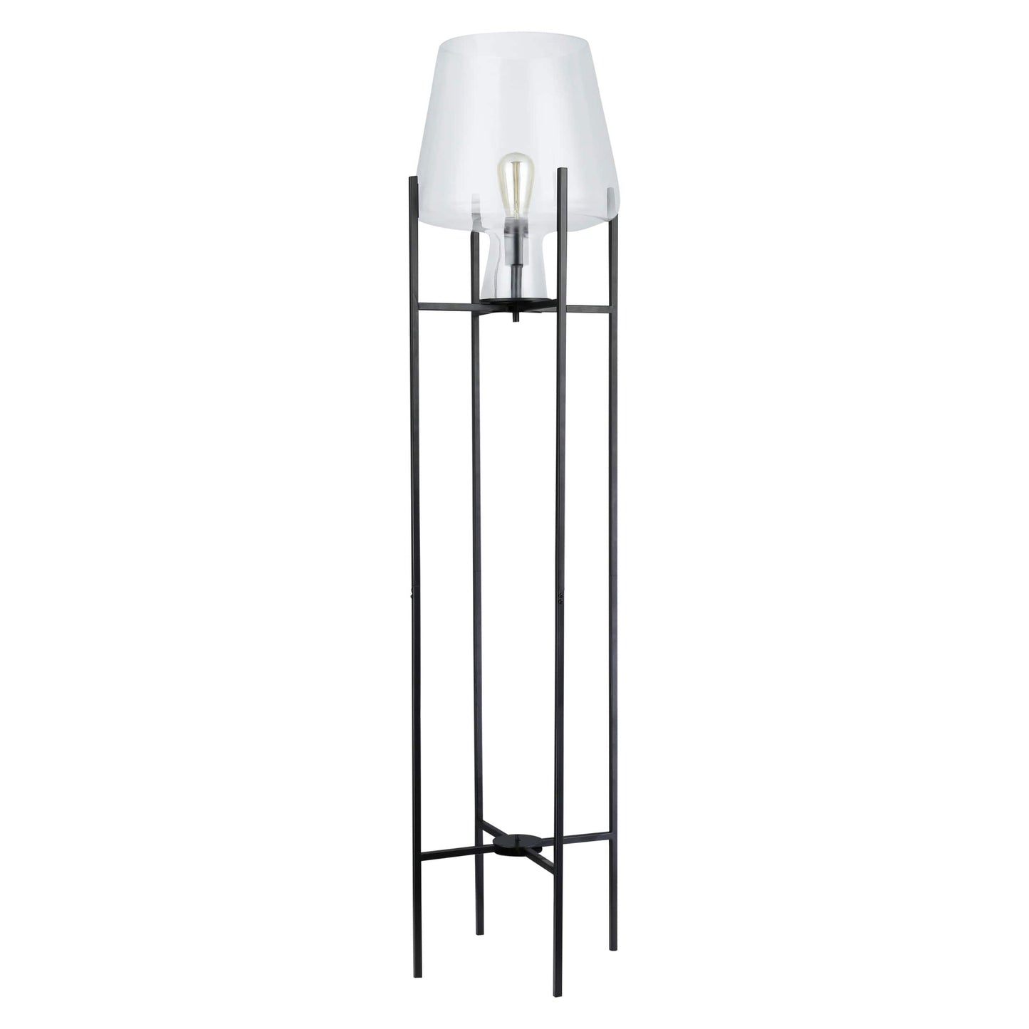 Clear/ Black-
