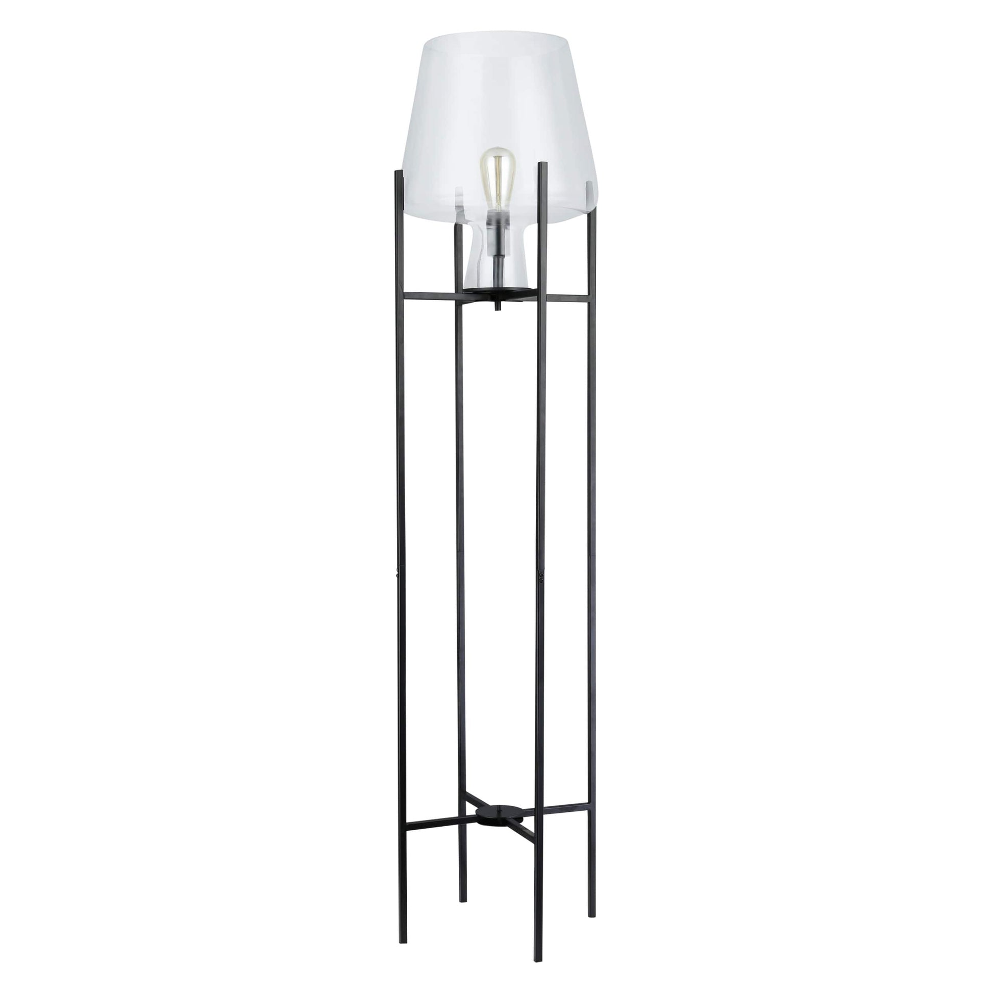Clear/ Black-