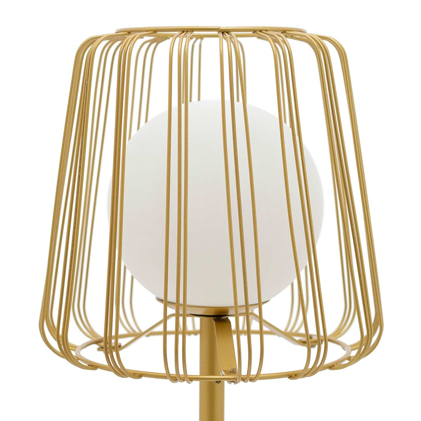 Gold/ White-