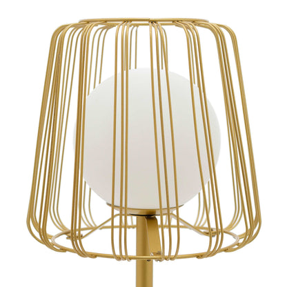 Gold/ White-