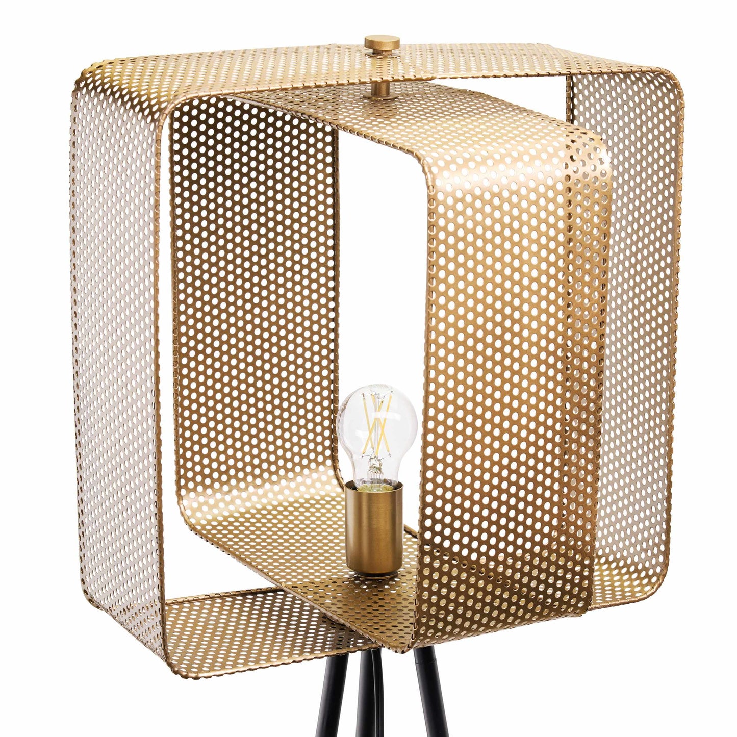 Gold/ Black-