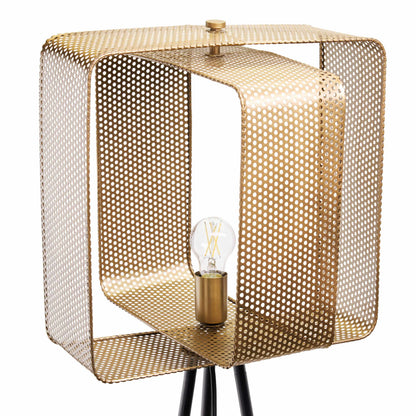 Gold/ Black-