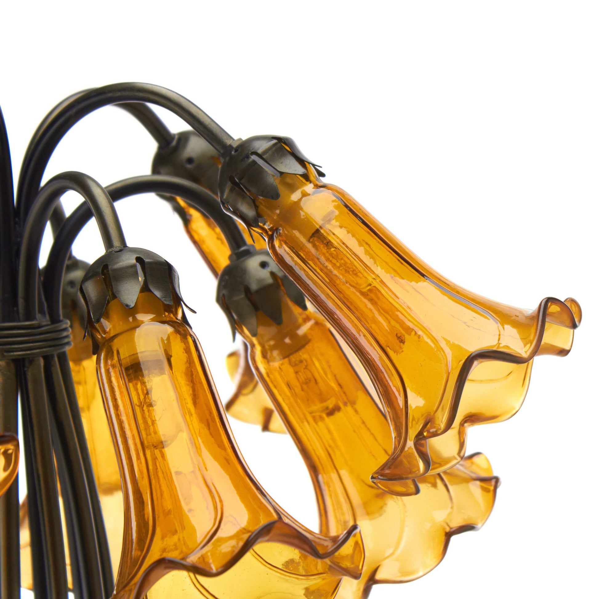 Amber/ Brushed Bronze-