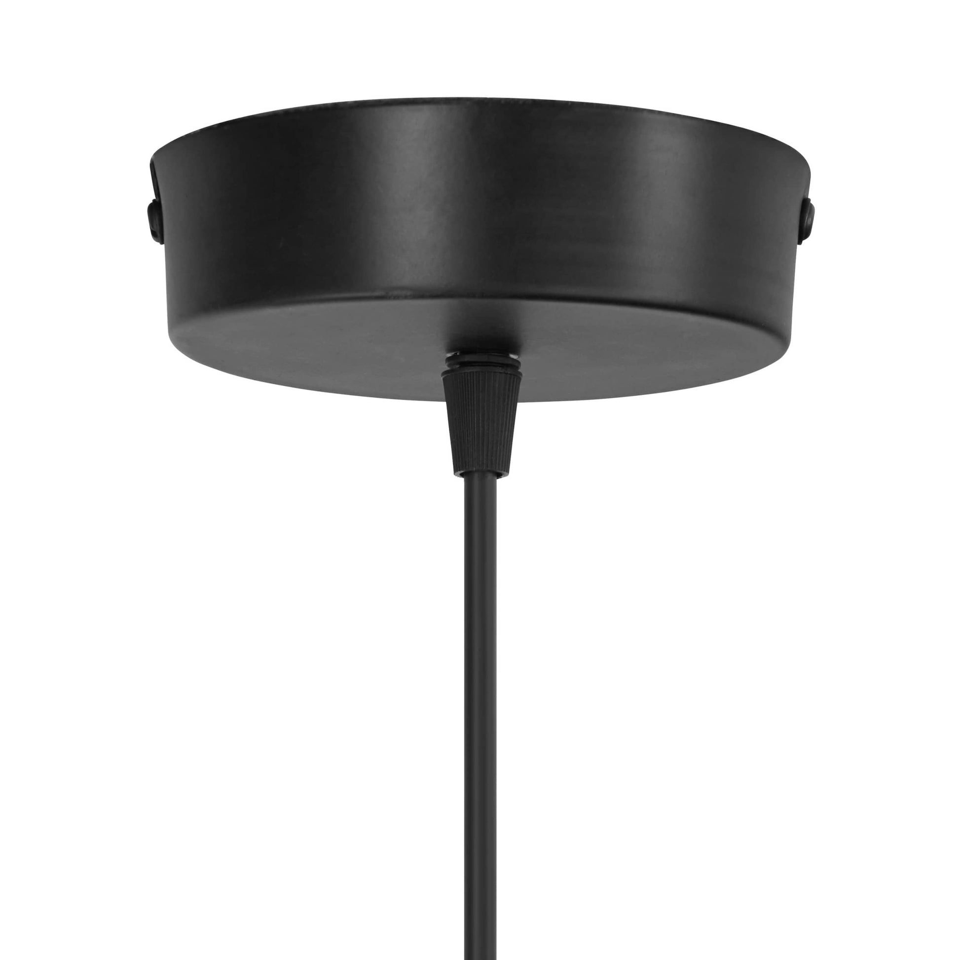 Black-