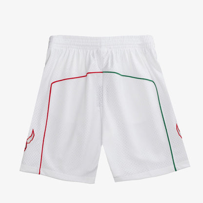 Mitchell & Ness Men's NBA Swingman Shorts Raptors 07