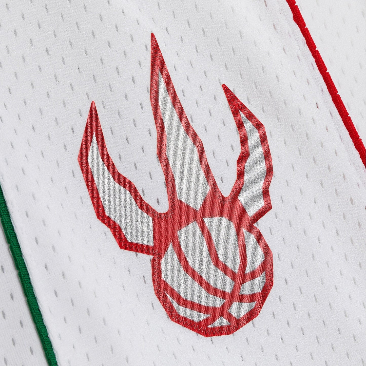 Mitchell & Ness Men's NBA Swingman Shorts Raptors 07