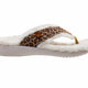 Tan Leopard