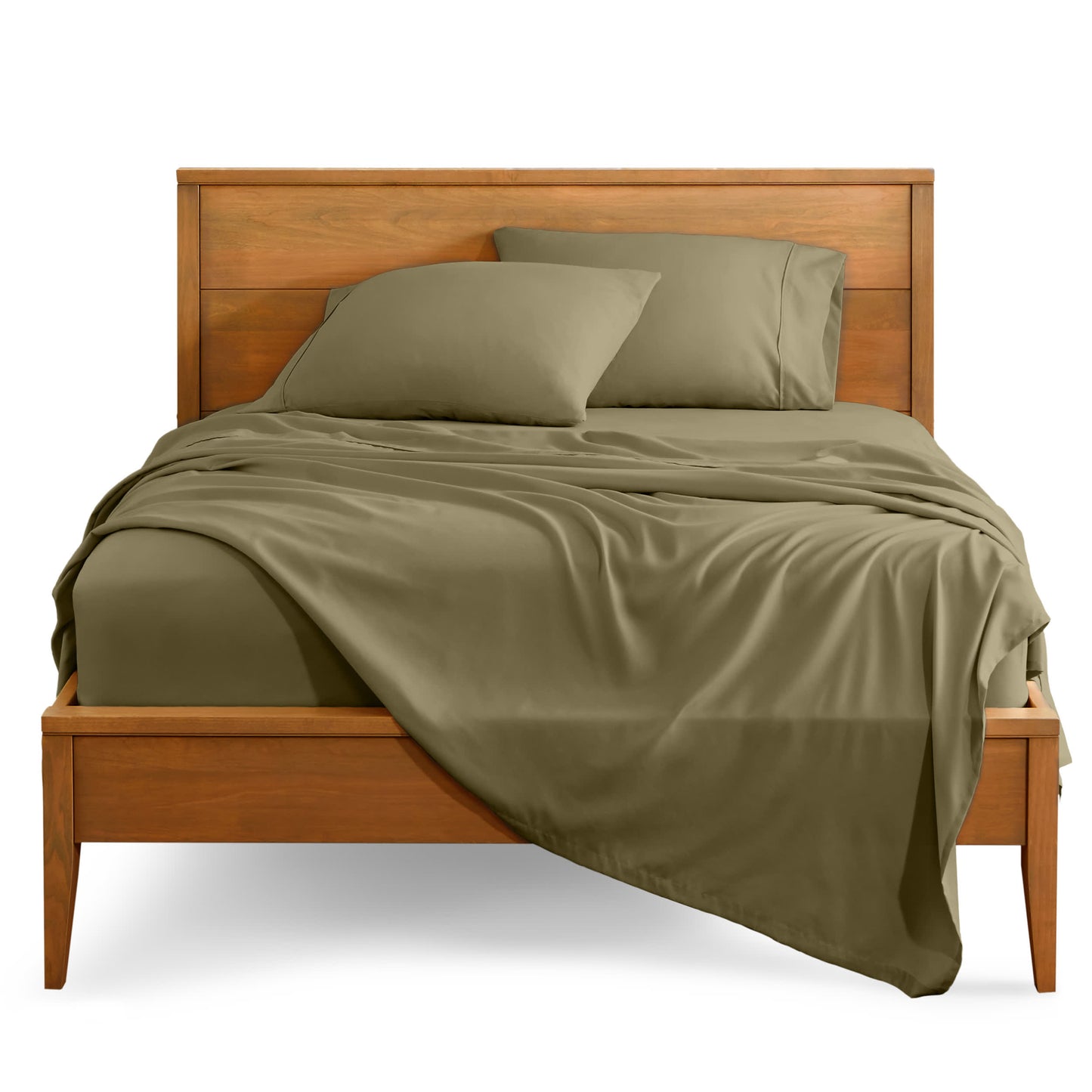Olive-