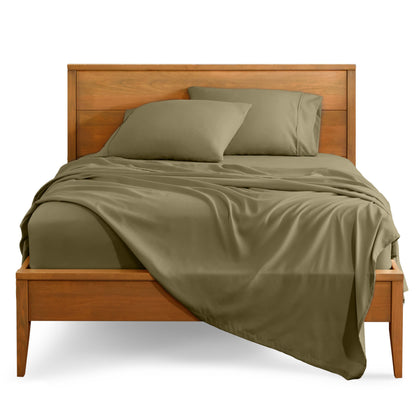 Olive-