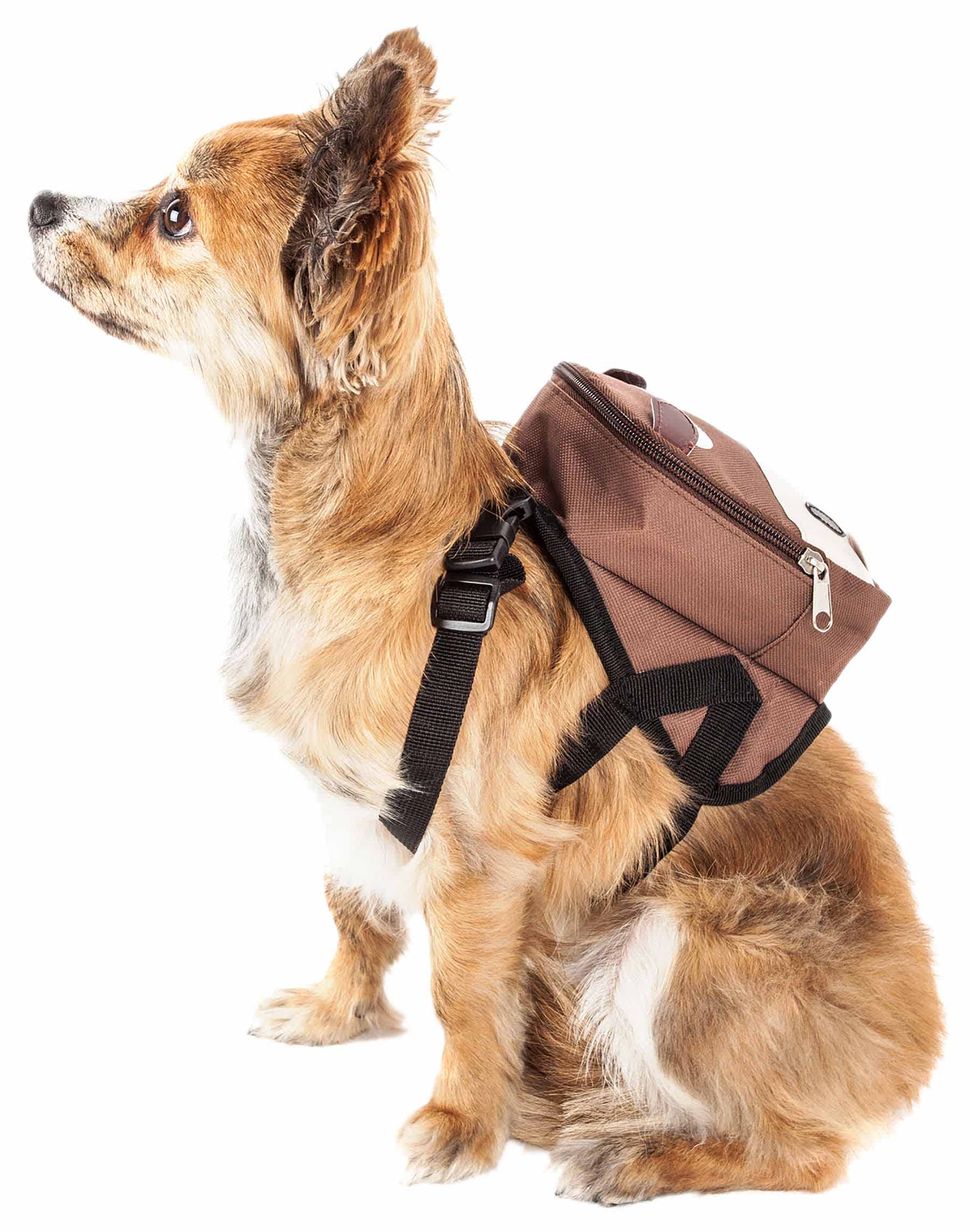 Brown-