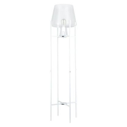 Clear/ White-