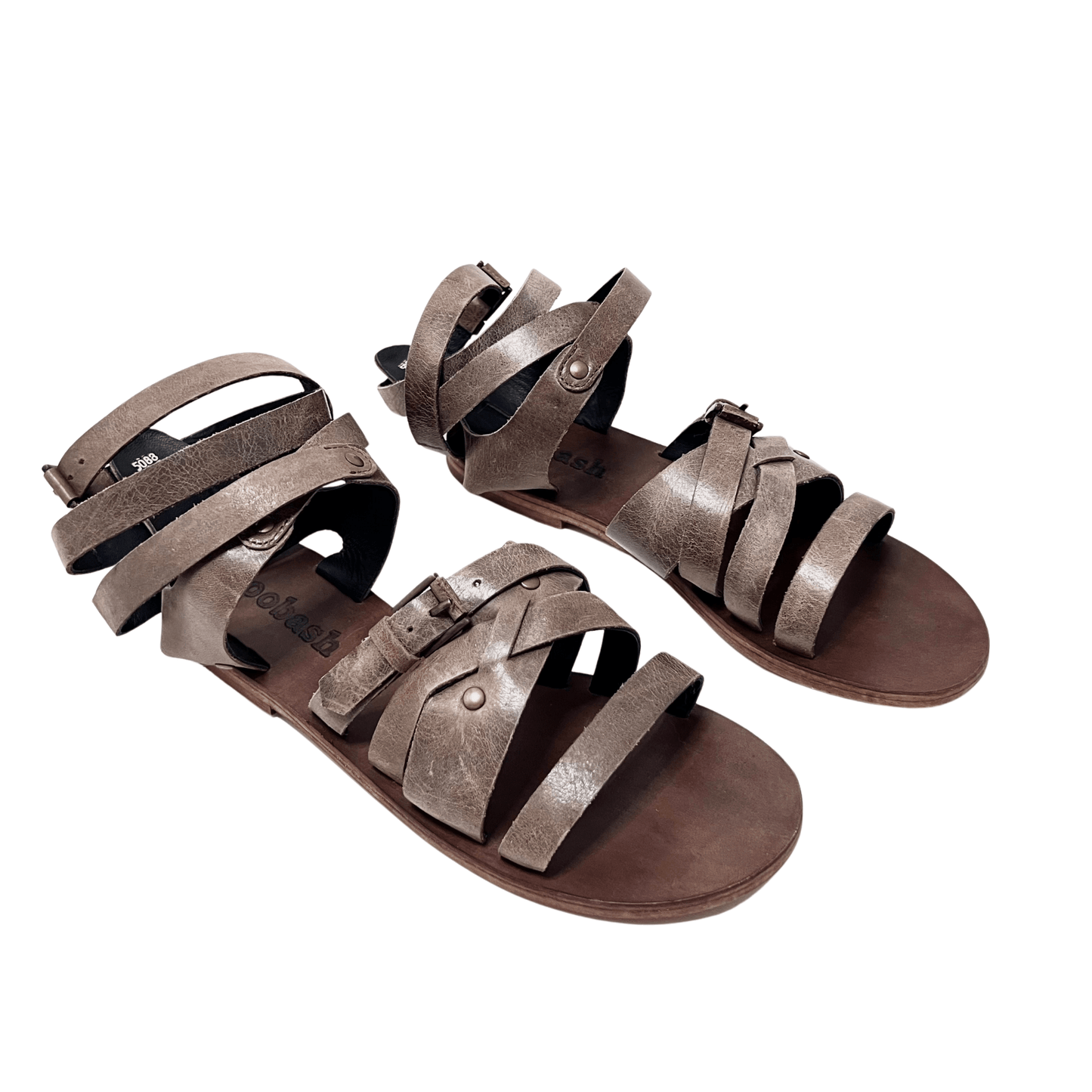 OLIVE-