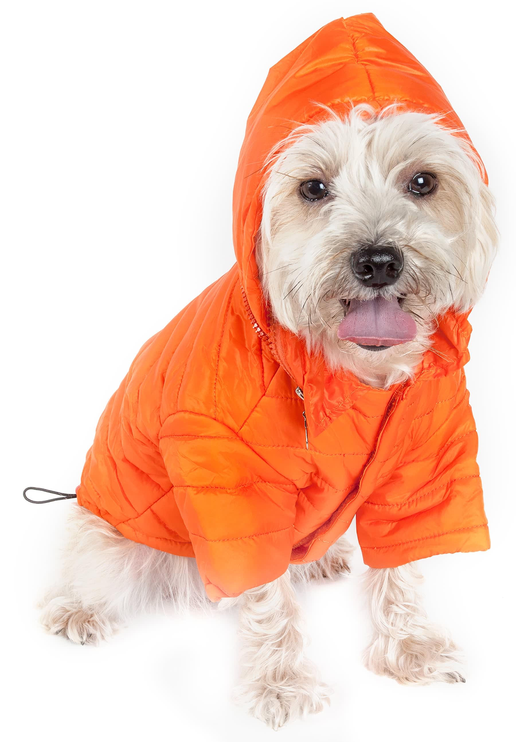 Orange-
