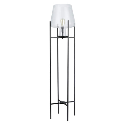 Clear/ Black-