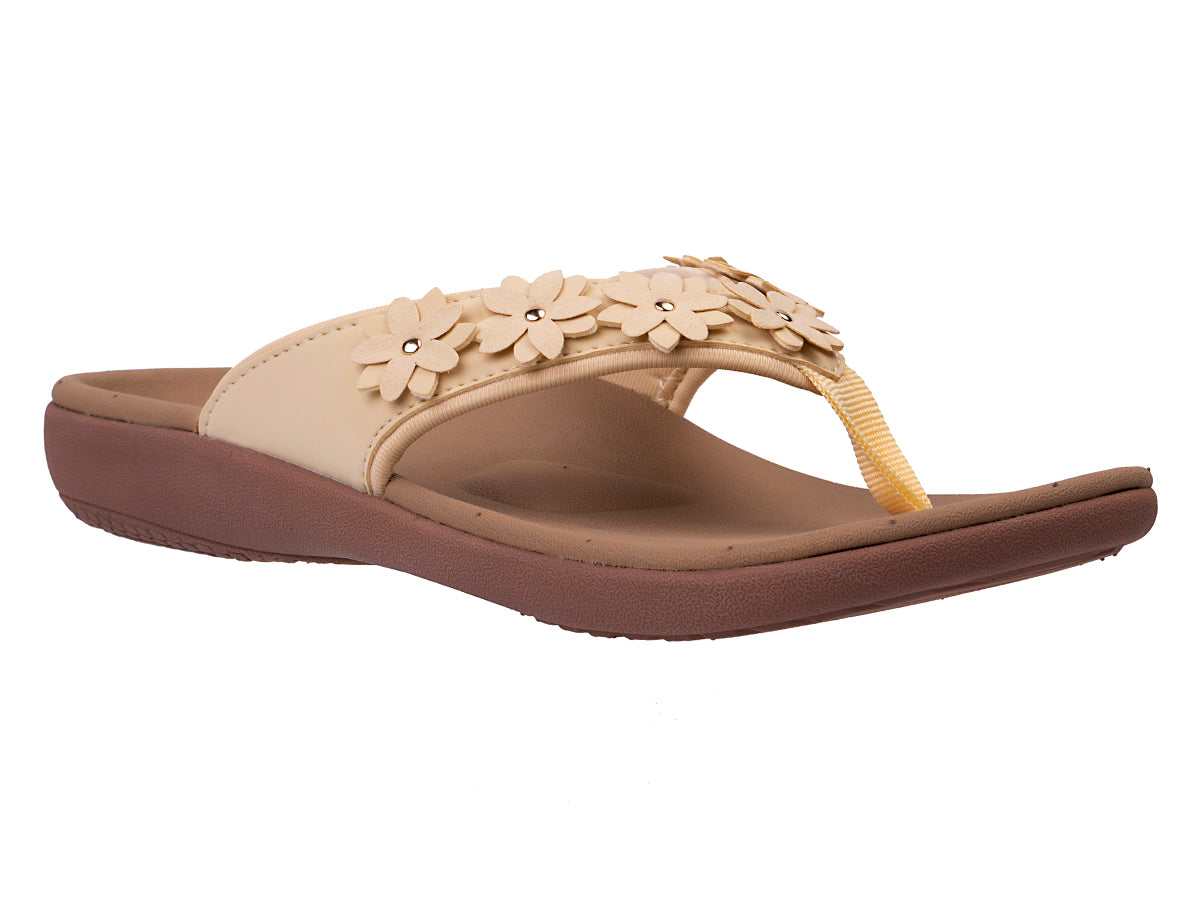 CHAMOMILLE-