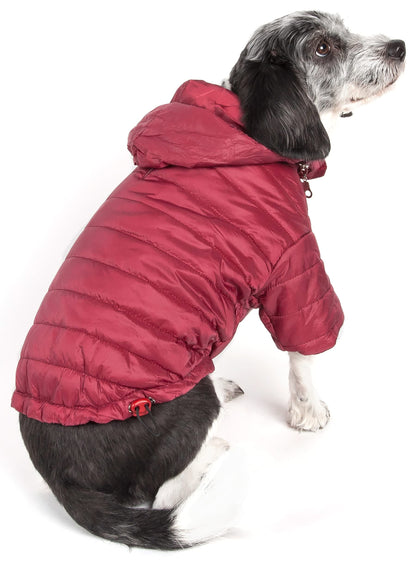 Burgundy Red-