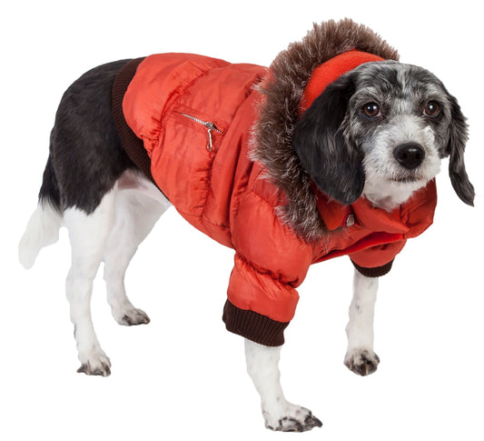 Metallic Orange-
