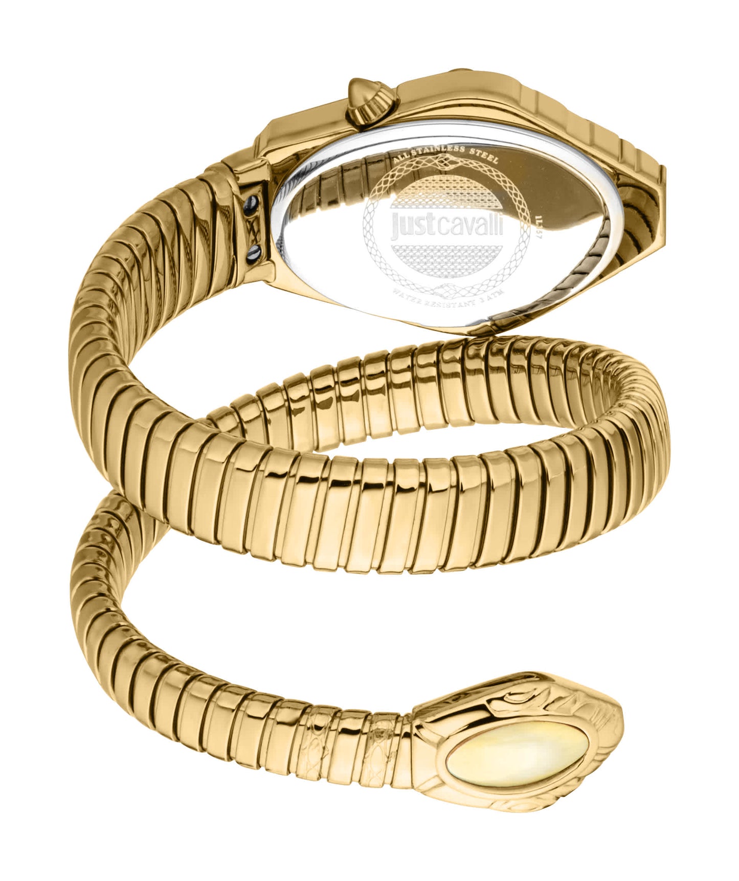 Just CAVALLI Women Watch, Gold Color Case, Champagne Dial, Gold Color Metal Bracelet, 2 Hands, 3 Atm
