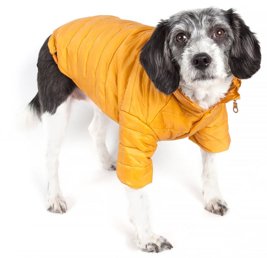 Mustard Yellow-