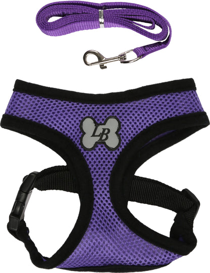 Purple-