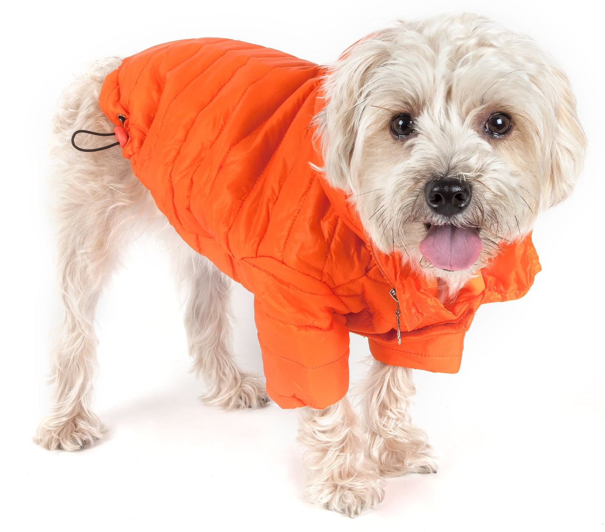 Orange-