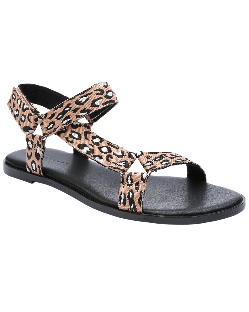 LEOPARD-