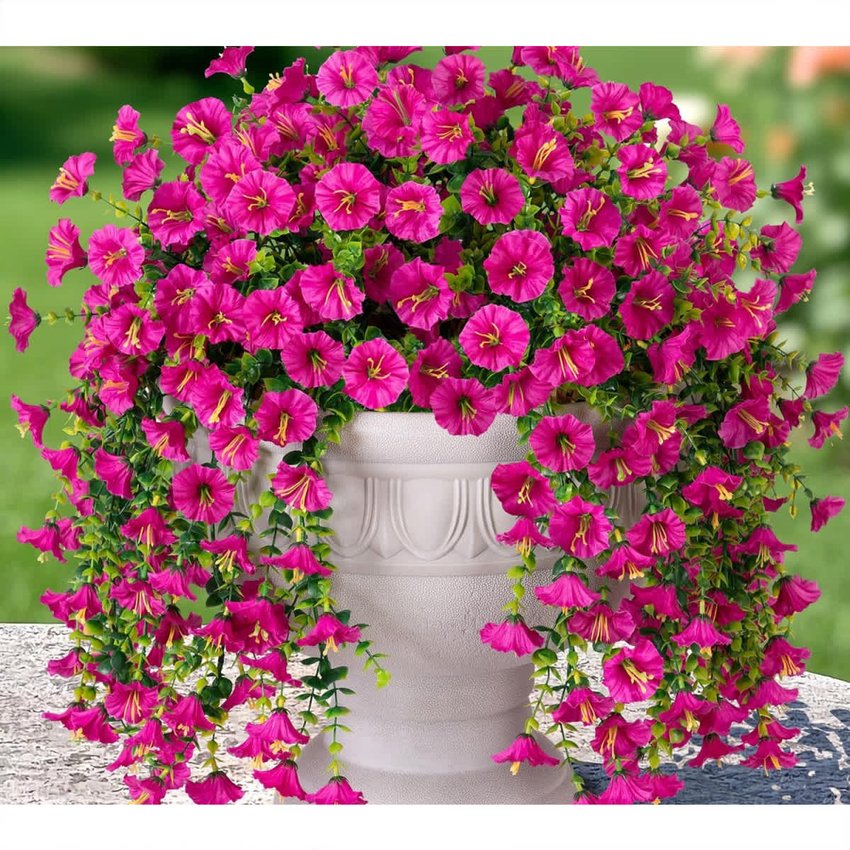 Rose Pink-
