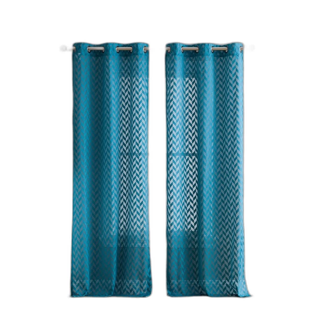 Grey Teal-