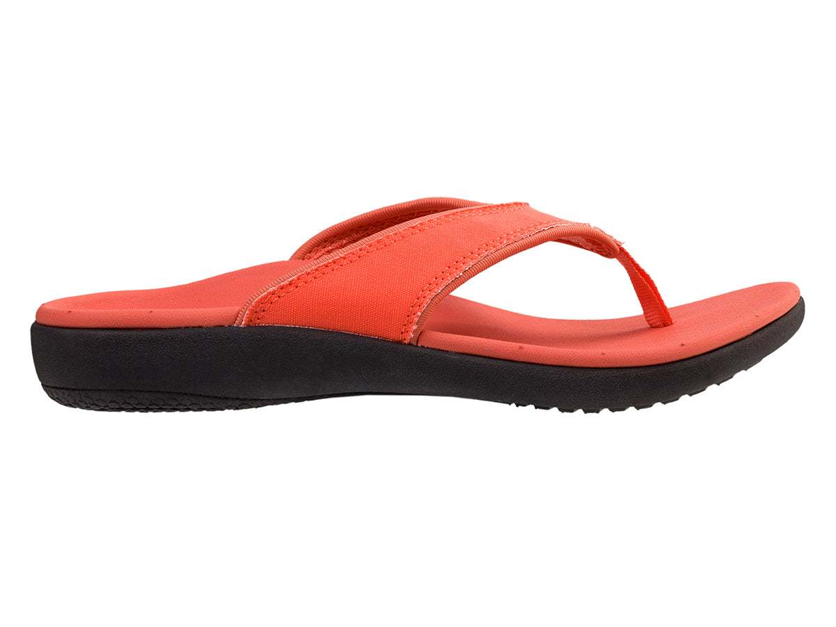 Coral-