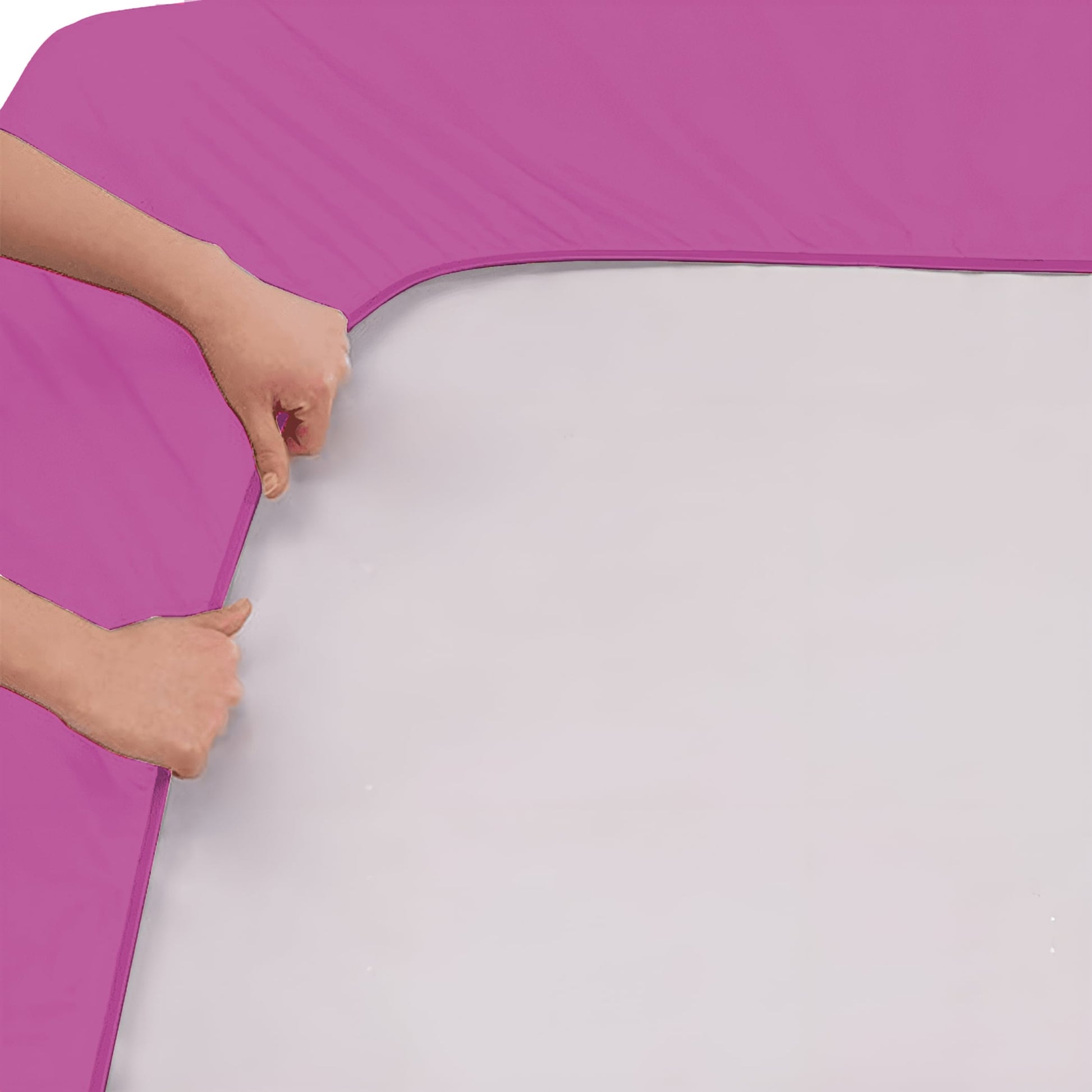 Hot Purple-
