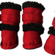 Red & Black