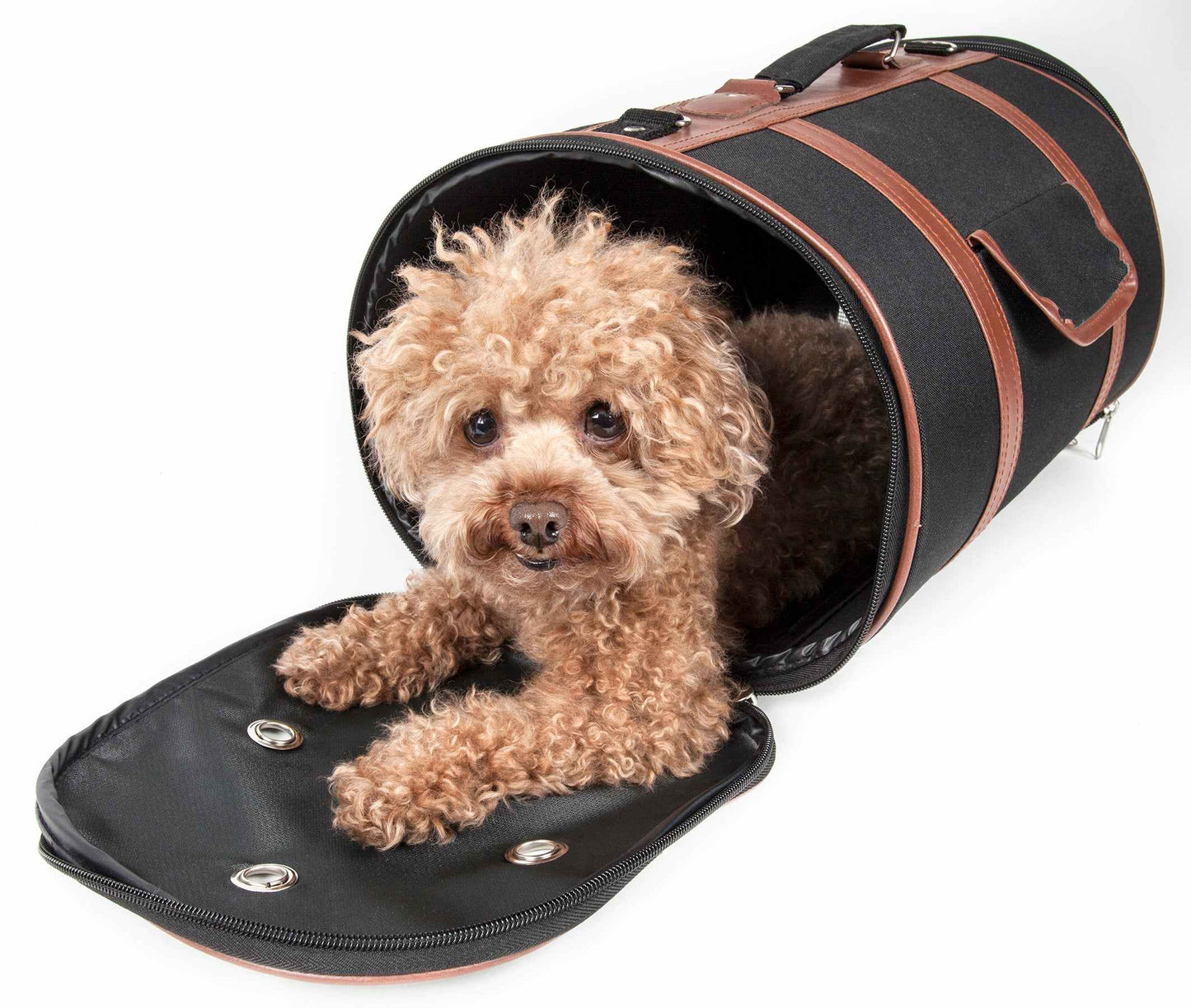Black/Brown-