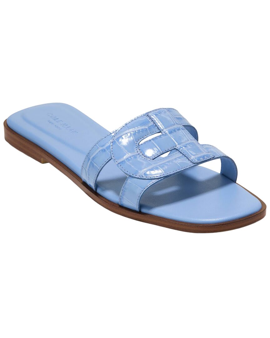 HYDRANGEA CROC PRT-